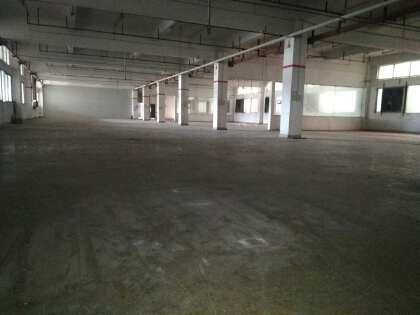 樟木头标准厂房二楼1200平方，现成办公室，交通便利租金便宜