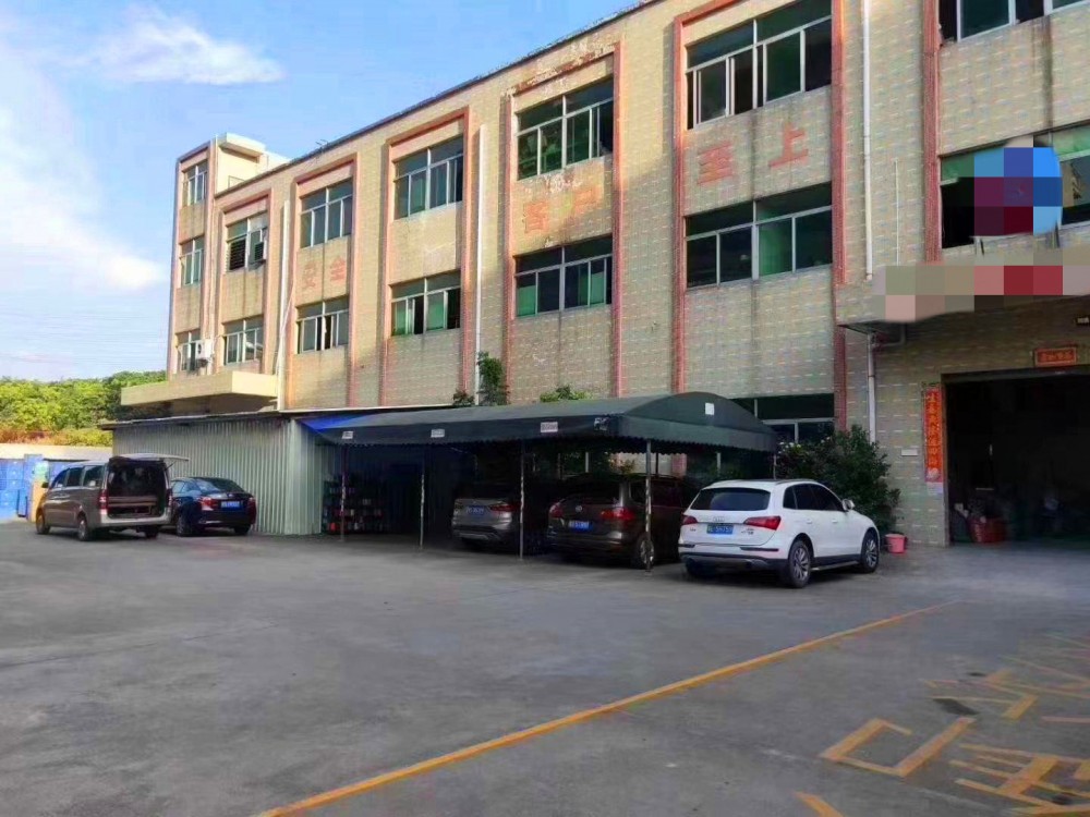 望牛墩新出标准厂房厂房出租，形象非常漂亮，工业用地，交通便利