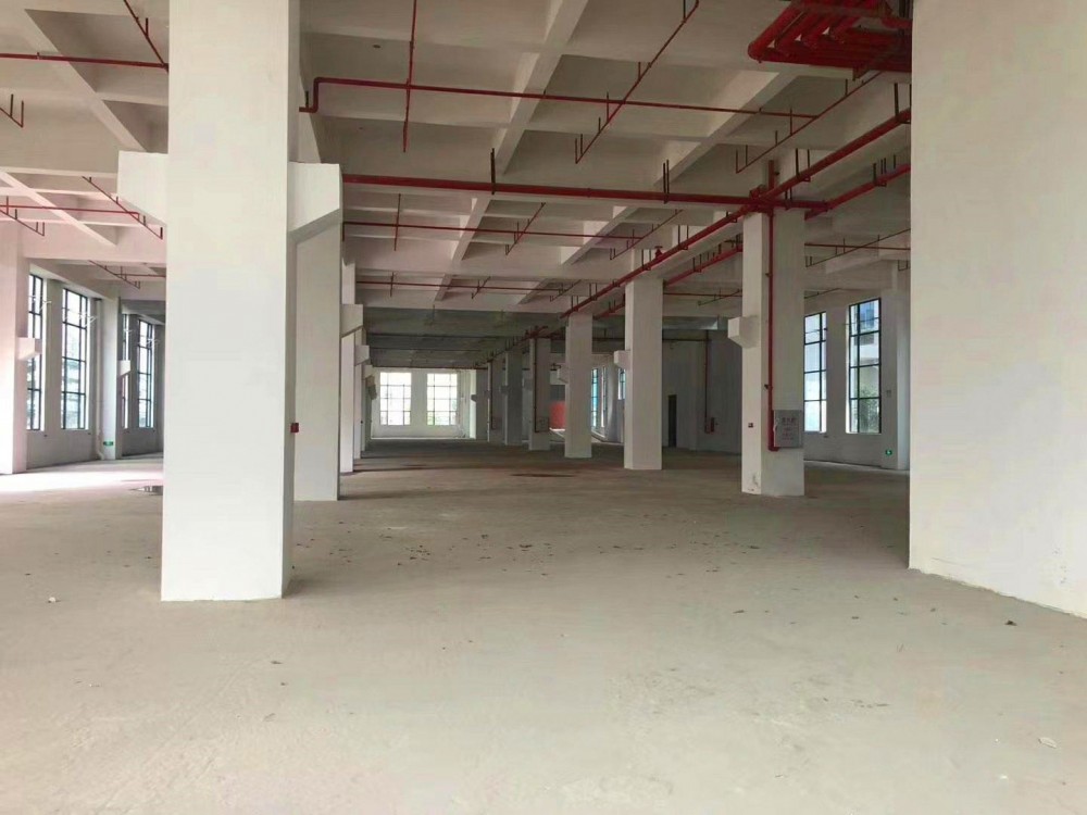 新出高6米帶牛角有辦公室廠房出租