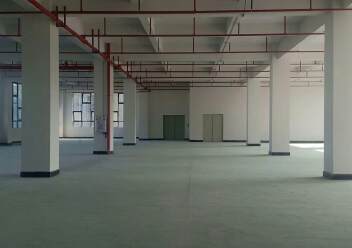 望牛墩新建标准独院厂房分租二楼3000平，带消防喷淋，有红本